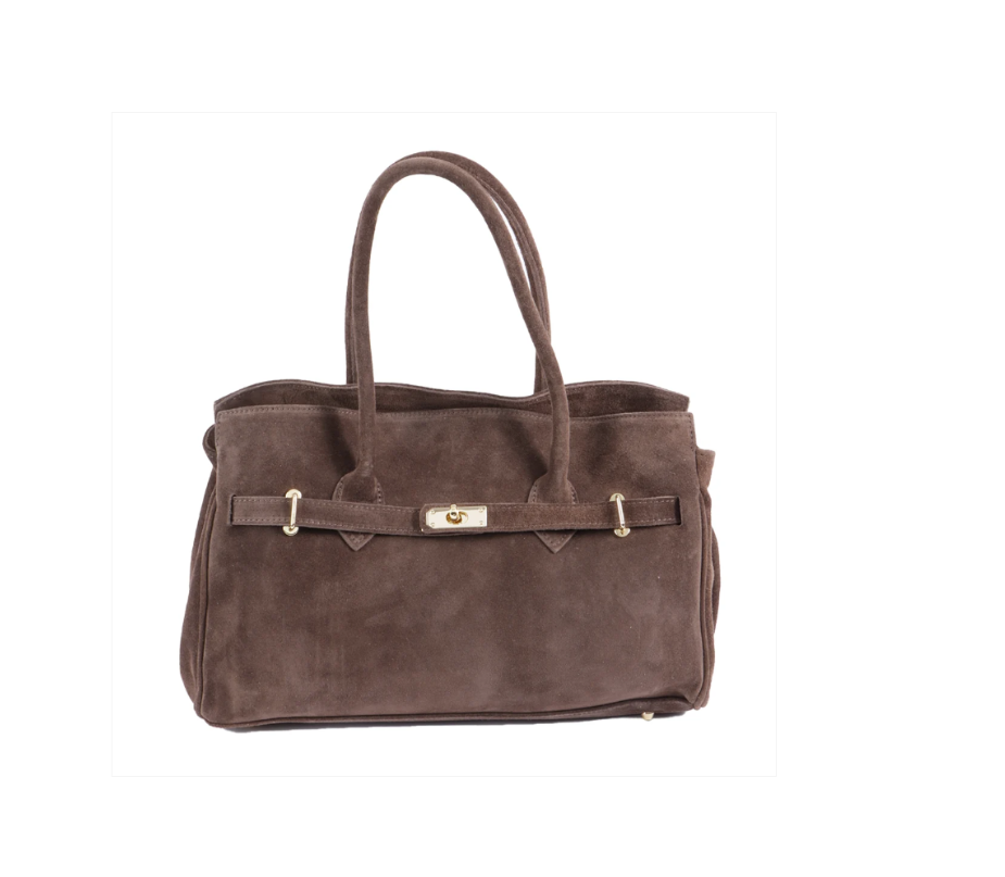 Chandra Satchel