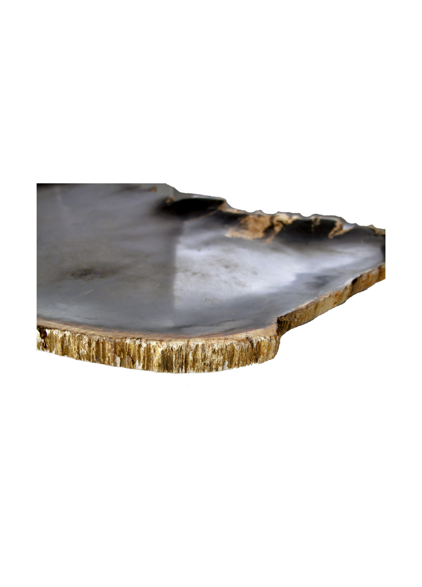 Petrified Wood Platter