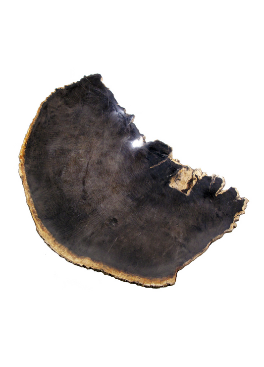 Petrified Wood Platter