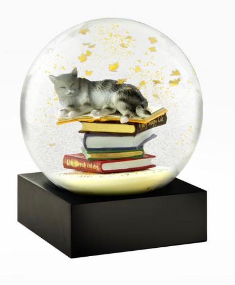 Cat On Books Snow Globe