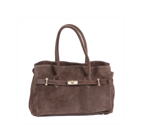 Chandra Satchel