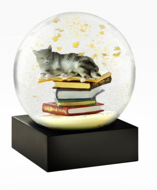 Cat On Books Snow Globe