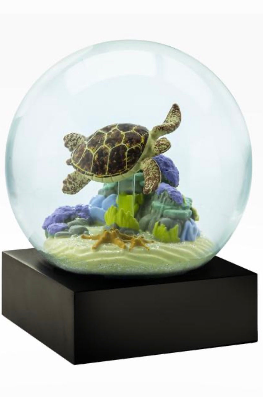 Snow Globe with Turtle